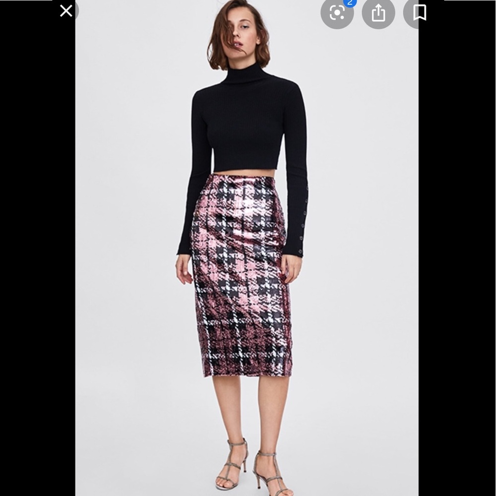 ISO Zara Sequin Skirt **SHARE DON’T PURCHASE**